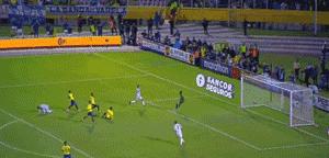 关于世界杯疾病科普,不容错过精彩的讲座