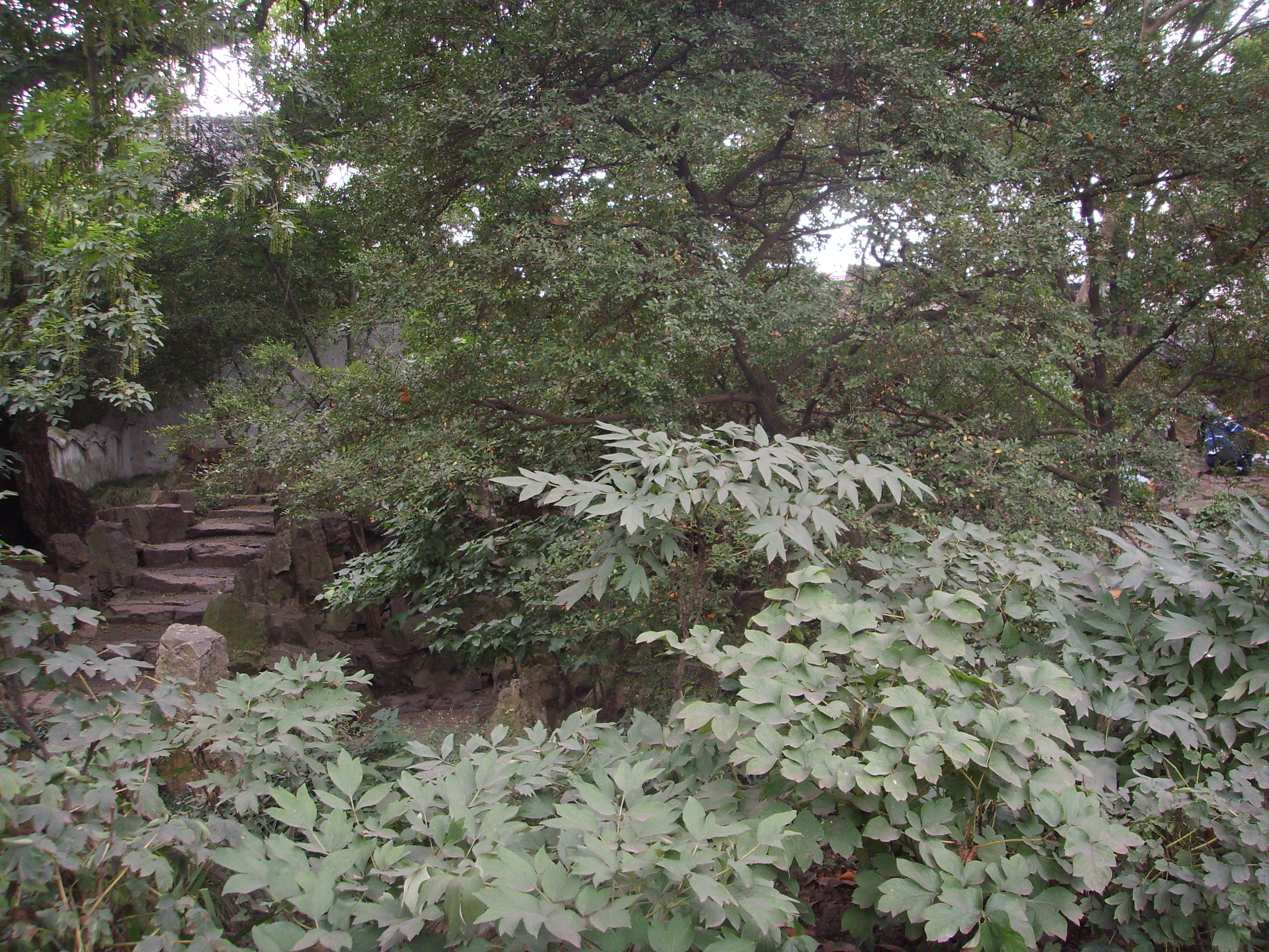 苏州园林的精品拙政园,苏州园林的拙政园故事