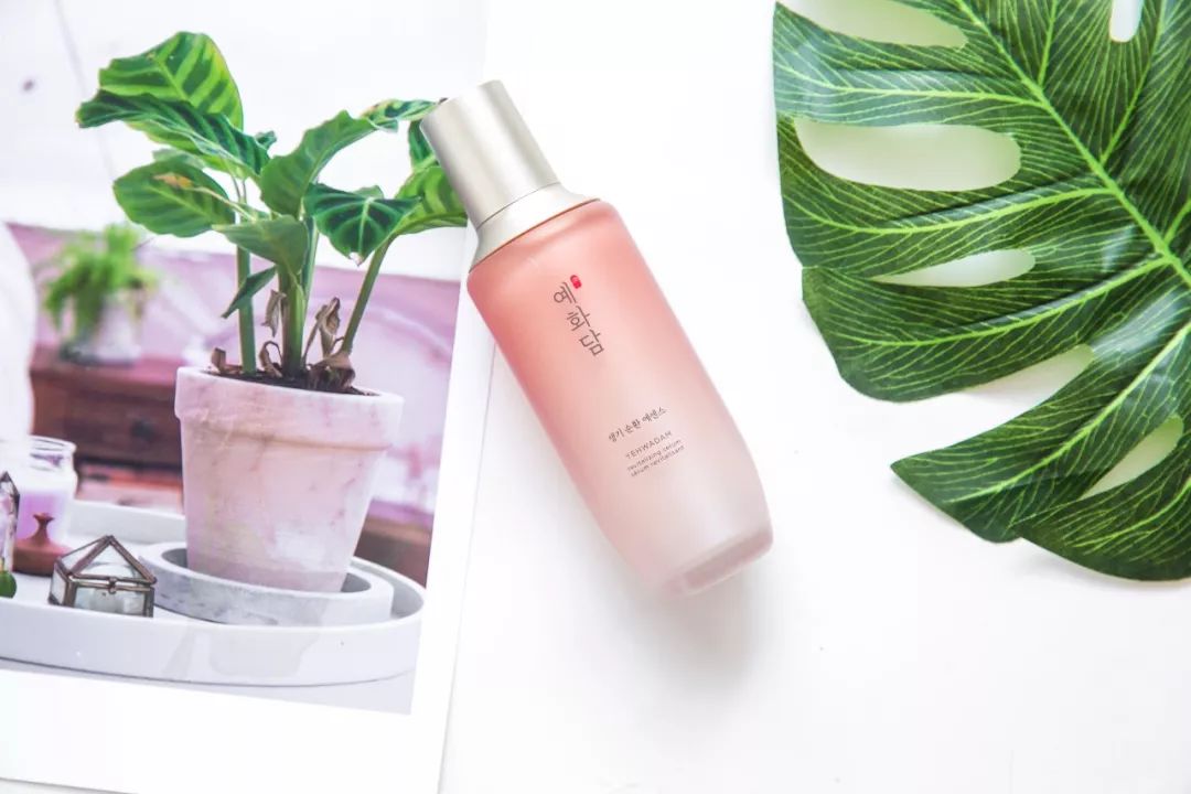 新晋超级网红打卡,新晋网红店cafe