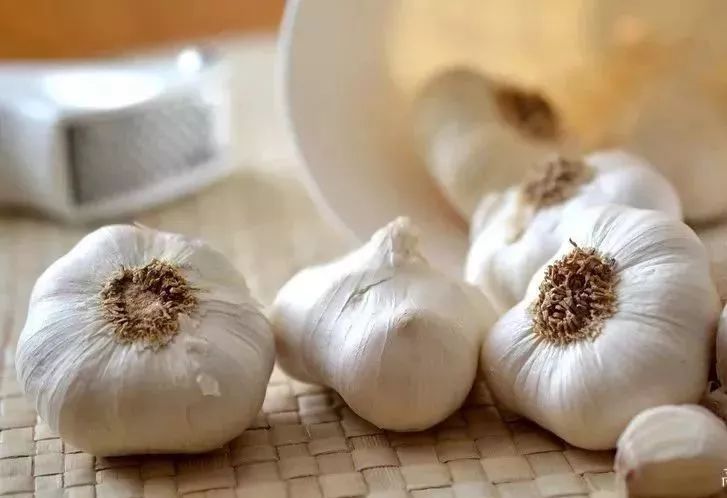 被毒蚊子咬了怎么消肿止痒的药膏,蚊子咬了手指头怎么消肿止痒最快