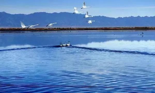 南昌去内蒙古攻略路线 (南昌去内蒙古怎么走最便宜)