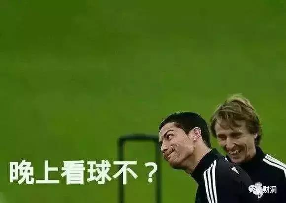 世界杯竞彩巴西比利时,世界杯冠军总决赛竞彩