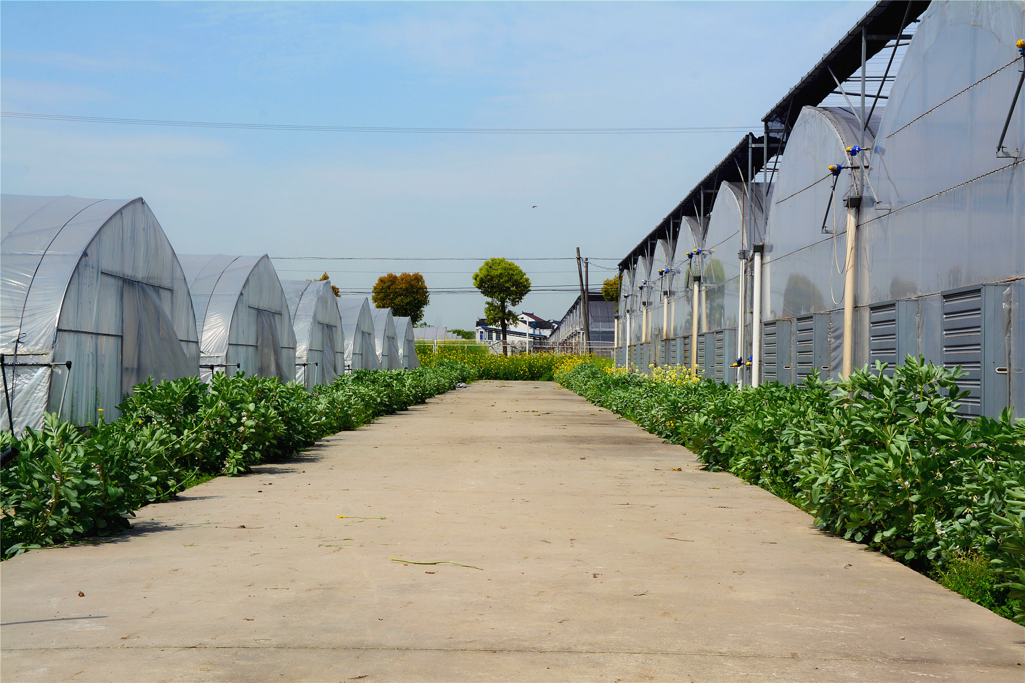 苏州哪些景点可以看小桥流水,只有老苏州人才知道的小众景点
