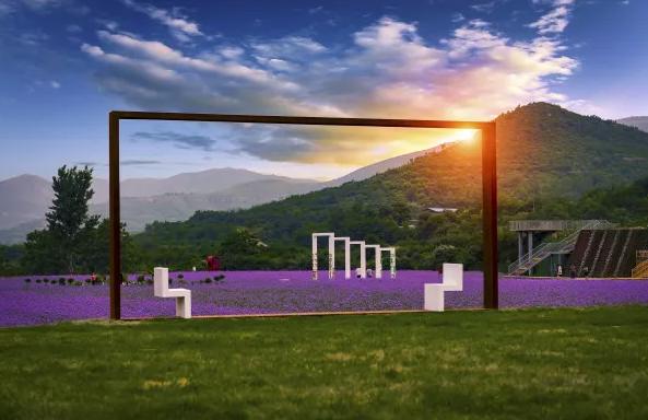 鹿泉春天去哪看花海,鹿泉区花海