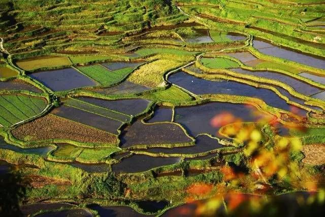 贵州人去外地旅游景区免费,四川人到贵州旅游景点免门票吗