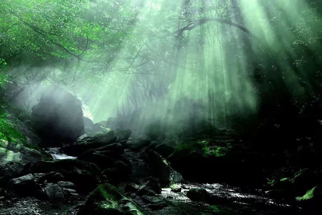 最美县域榜单2021,2020甘肃最美县域榜单