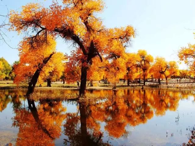 北京至内蒙古旅游坐什么火车,北京去内蒙古高铁旅游线路