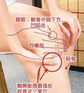 中医注射穴位治疗足三里,足三里是常用的强壮保健穴吗