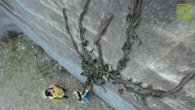 这部国产奇幻电影有多精彩,一部国产玄幻电影