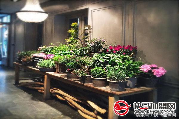 开一家花店一年大概能挣多少,长沙开一家花店要多少钱