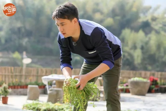 黄磊推荐简单易做美食,黄磊100道经典家常菜