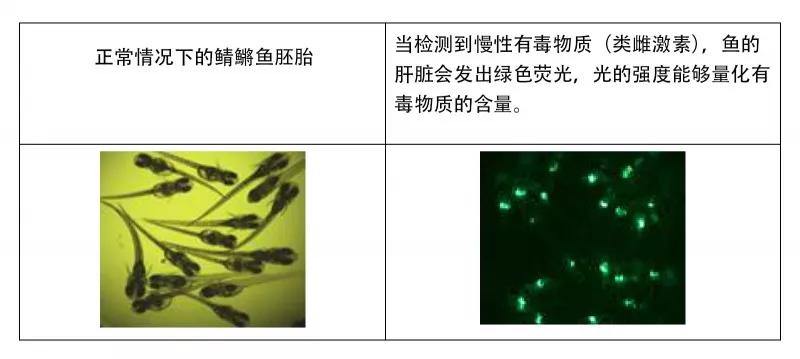 时髦的，你玩过“止汗剂挑战”？没玩过就对了