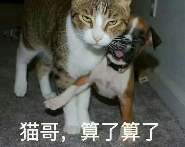 世界杯安全风险,世界杯最严重的法律风险