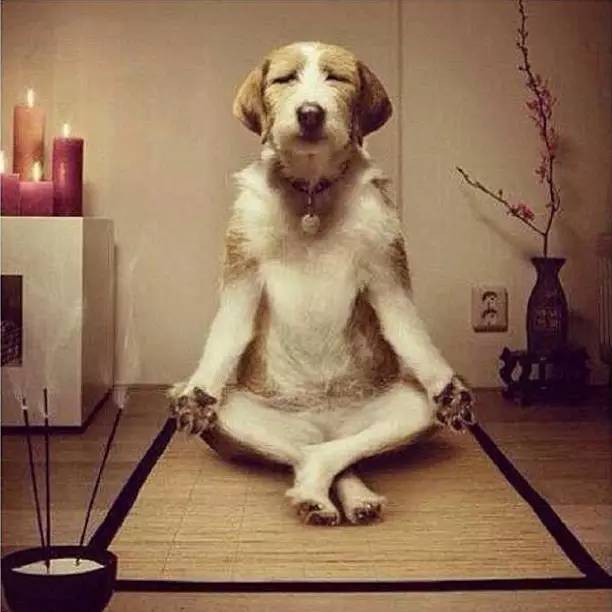 被娃气到崩溃语录,当你被孩子气疯