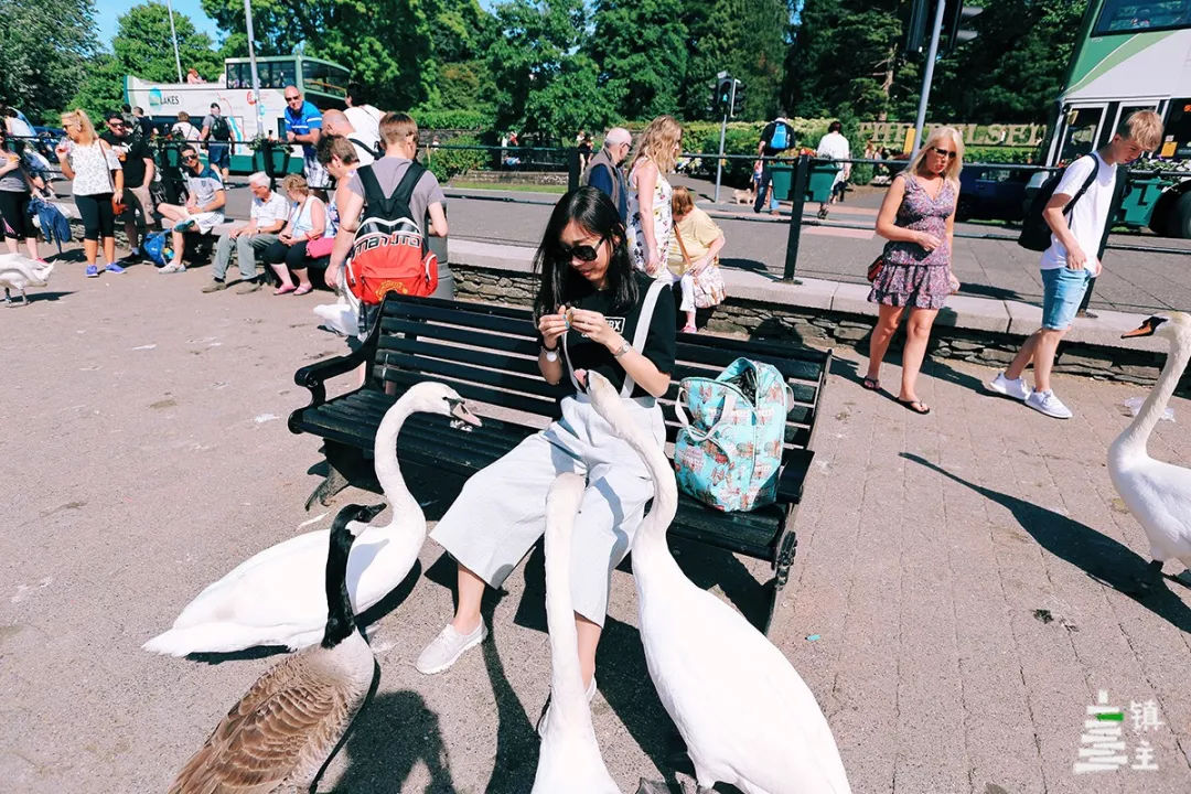 英国彼得兔故居,探寻英国小镇书