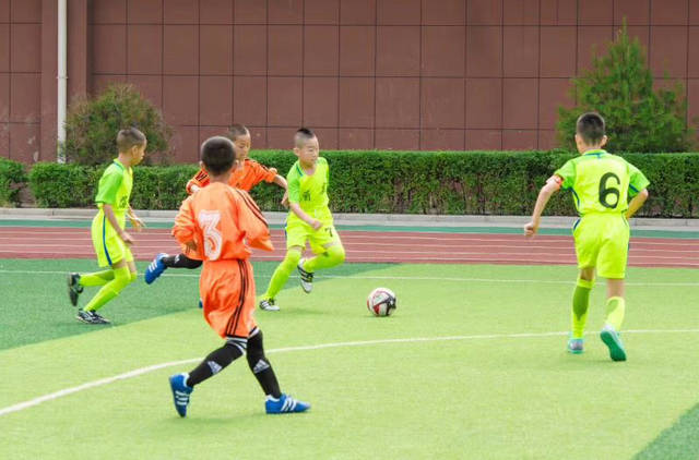 宝鸡市眉县东关小学足球队,踢球吧少年强名单