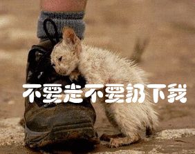 世界杯撩人的简短朋友圈文案,世界杯土味情话合集