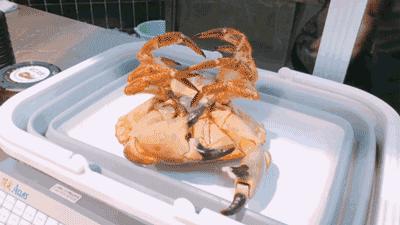 在北京吃只大龙虾只要70块？我被这家超市实力圈粉了！