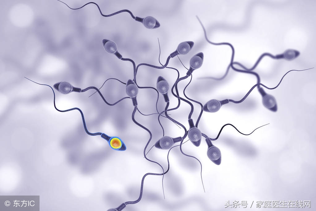男人爱吃什么有好处,男人常吃哪四种食物对身体好