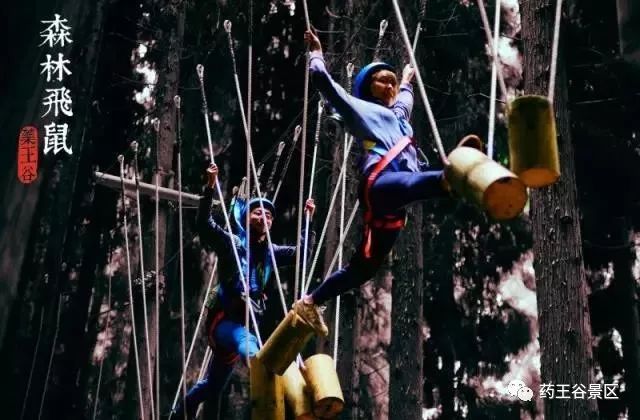 夏至来临，气温攀升，药王谷220两天一夜欢乐避暑体验！黑森林/森林花海/地心峡/水世界……