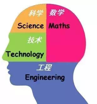 聪明的父母让孩子学习,聪明的父母会教孩子做什么