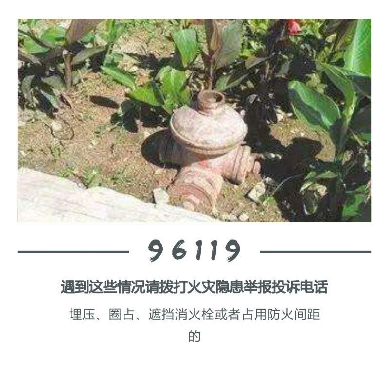96119官方给出的受理范围,96119最晚多久处理