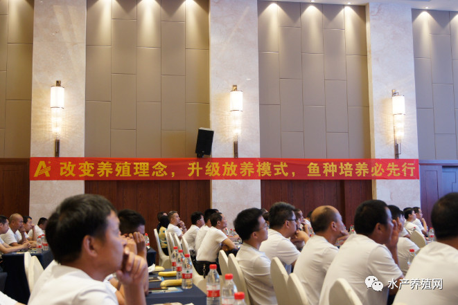 澳华总裁,澳华集团董事长许愿斌