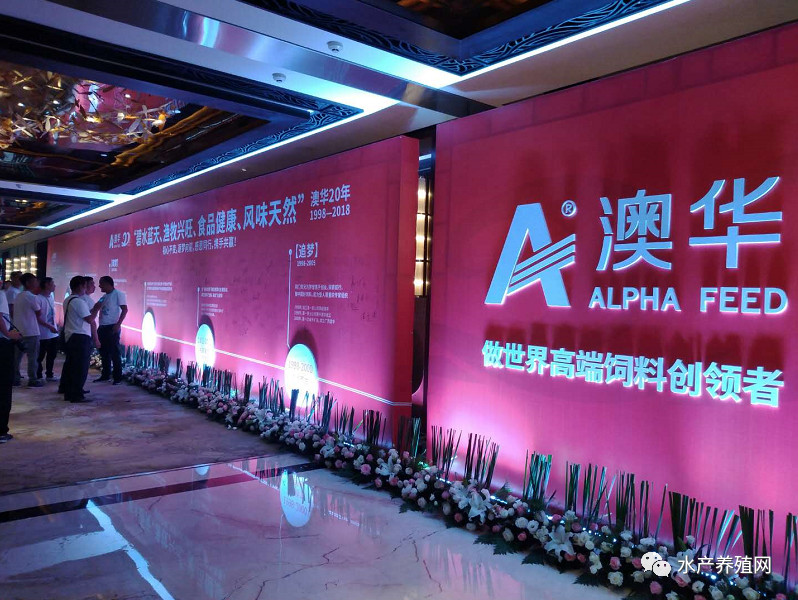 澳华总裁,澳华集团董事长许愿斌