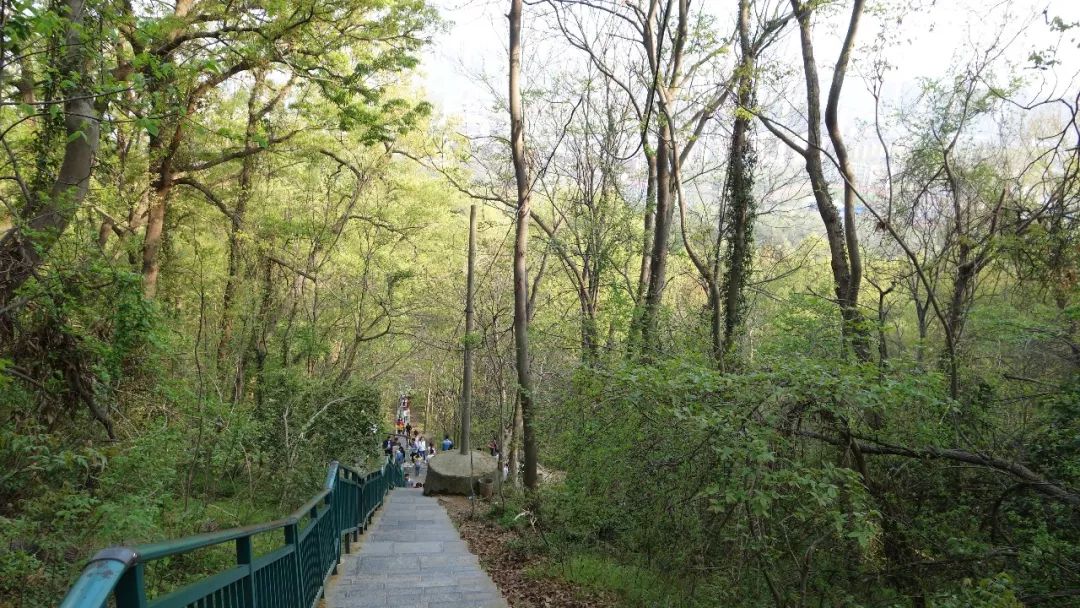 时光游合肥,时光旅行图集