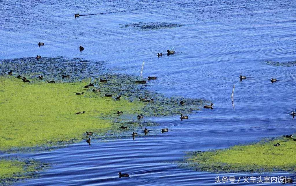 中式禅意空间的作品,天人合一佛语禅意