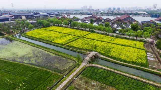广富林遗址预约门票多少钱,小松探园门票