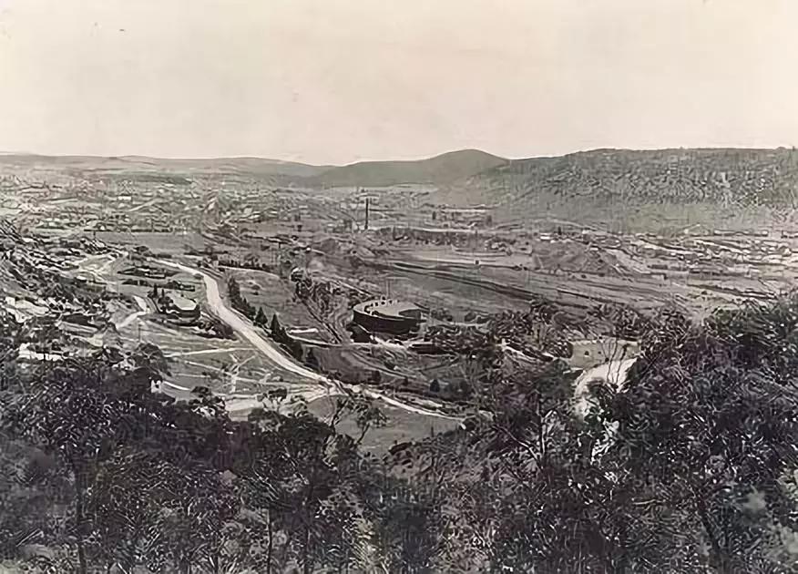 澳洲未解之谜，它又出现了！幽灵猫现，必有血案！