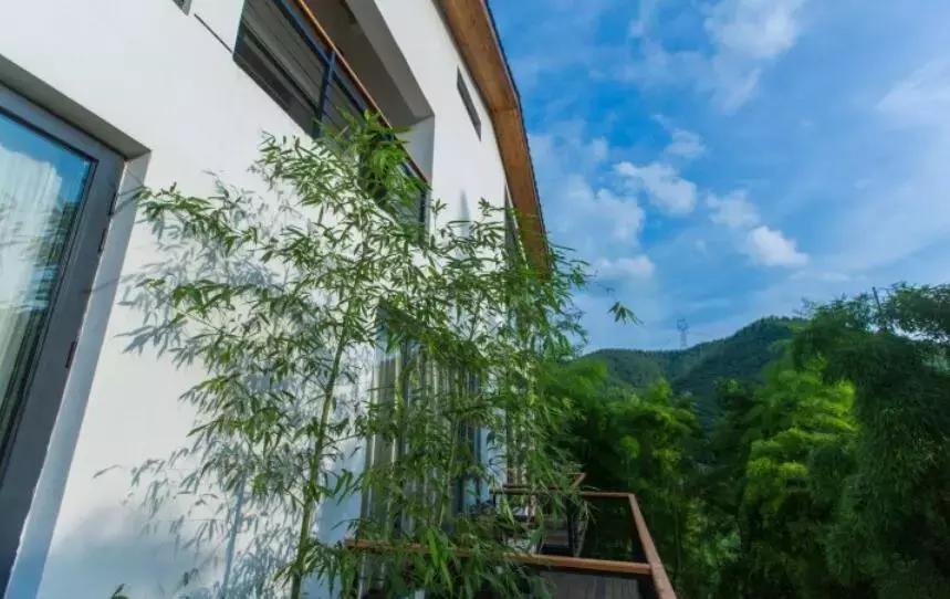 隐居山林依山傍水世外桃源,适合冬天去的民宿莫干山民宿