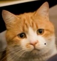 陈一发儿舞台,陈一发儿逆风绝杀