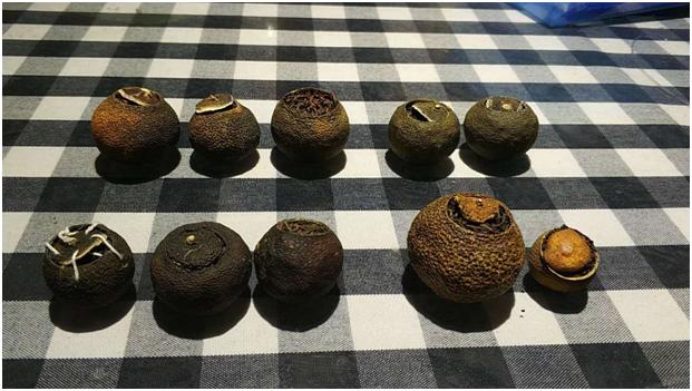 小青柑普洱茶如何辨别真假,小青柑普洱茶如何辨别