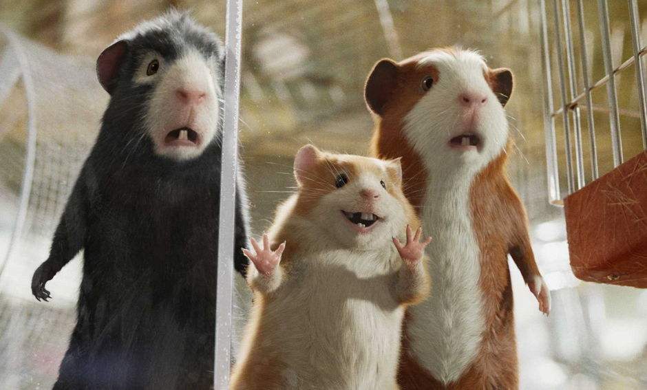 属鼠人和什么属相最合财运,属鼠人今年运气和婚姻