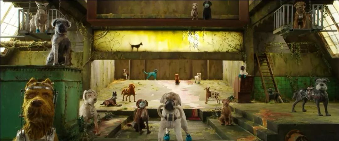 爱狗人士看的电影,爱狗人士必看的6部温情日本电影