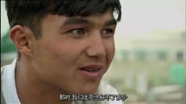 世界杯你们都赢了多少,世界杯你们输了多少