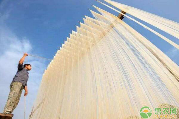 农村种植哪些果树可以致富,农村山坡种植什么可以致富