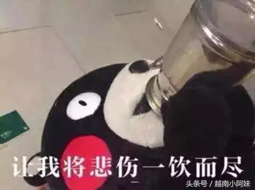 高晓松足球阴谋论,高晓松讲世界杯阴谋论完整版