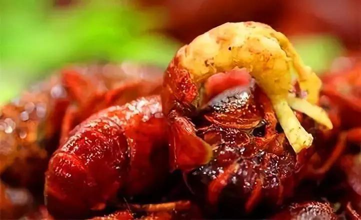 益阳美食实惠,益阳美食有什么特点