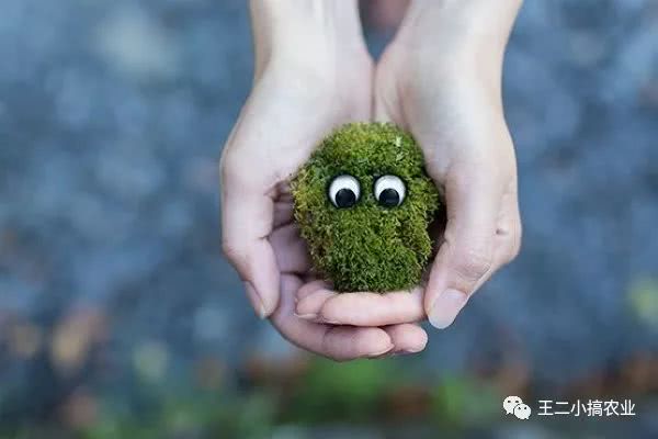 2022农民工回家创业有哪些项目,农民工回村创业投资30万