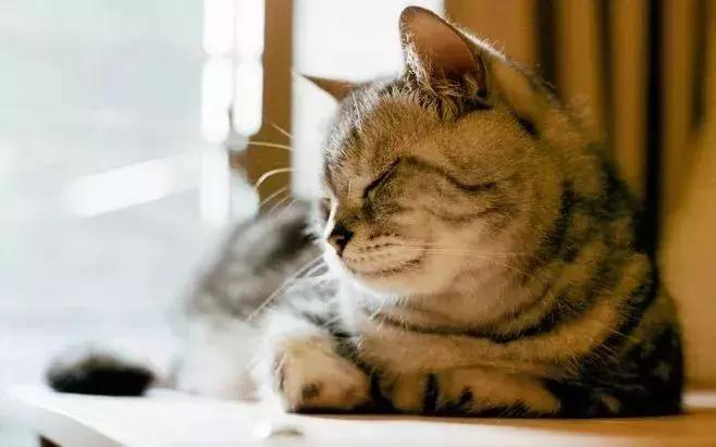 觉得工作太单调,觉得工作特别不顺