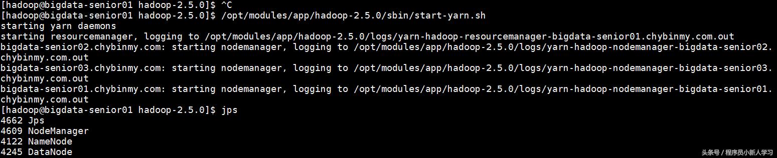 简述hadoop环境搭建步骤,hadoop环境搭建及安装