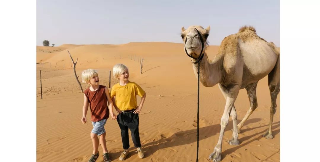 zara快销店,zara的产品风格