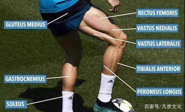 c罗世界杯登场,c罗世界杯球员登场动画