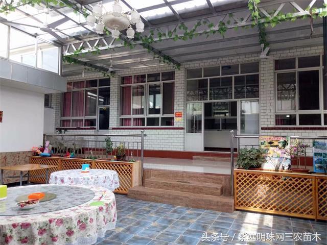 梨木台风景区顺缘农家院,天津蓟县梨木台顺鑫缘农家院