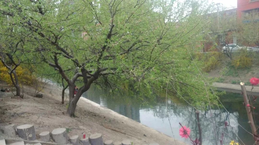 住在东八里庄，曾经很骄傲！现在更骄傲，因为……