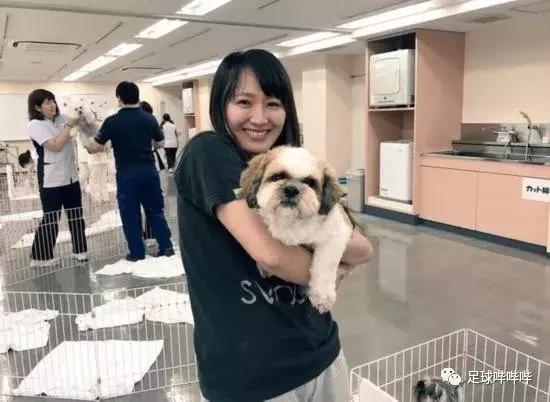 凯恩快乐足球比赛,凯恩德甲进球球迷反应