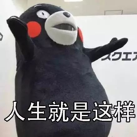 看世界杯感动,看世界杯心酸